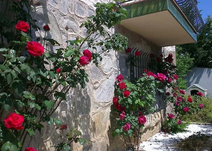 L'encantarella * Roses