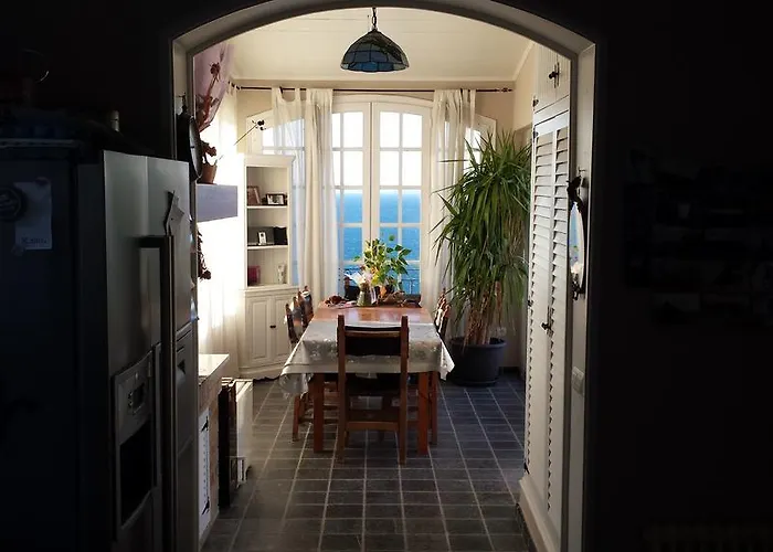 L'encantarella Roses